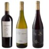 Italian wine - Winery "Fezzigna" tasting box