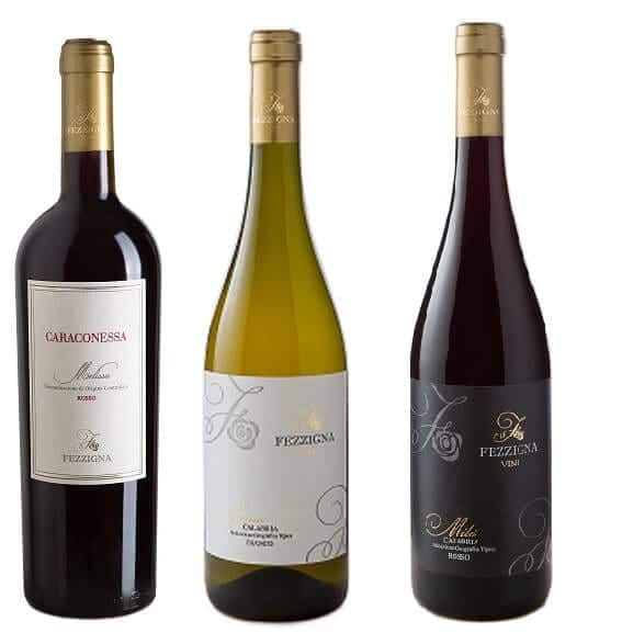 Italian wine - Winery "Fezzigna" tasting box